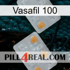 Vasafil 100 25